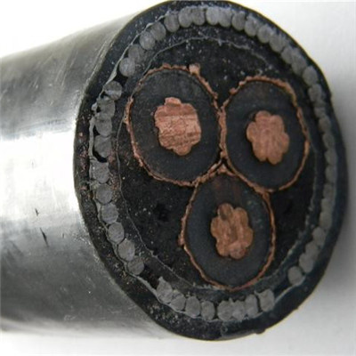 China China Factory 6/10 (12) Kv N2xs (F) 2y Longitudinally Water-Tight PE Medium Voltage Cable with Copper Conductor manufacture and supplier