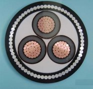 6-35 Kv Medium Voltage Cable XLPE Insulation 3 Core 35 50 70 95 120 150mm2 Steel Wire Armoured Mv Power Cable Yjv Yjv22 Yjv32