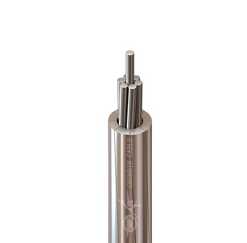 Good Performance Acss/Tw-Aluminum Conductor Steel Supported Trapezoidal Wire