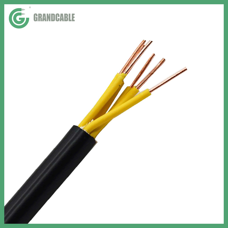 Chine 0.3/0.5kV 2X2.5mm2 Câble de contrôle de puissance à basse tension en cuivre solide, isolé en PVC et gainé de PVC fabrication et fournisseur