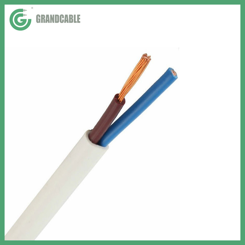 Chine H05VV-F 2x1.5mm2 300/500V Câbles multicœurs isolés en PVC avec conducteur en cuivre flexible fabrication et fournisseur