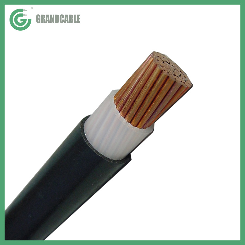Chine Câble électrique monophasé 1X300mm2 conducteur en cuivre avec isolation XLPE, anti-termites et rongeurs, câblage PVC blindé 0.6/1kV fabrication et fournisseur