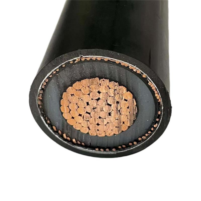 1*300sqmm 1*400sqmm N2xs (F) 2y Power Cable Supplier