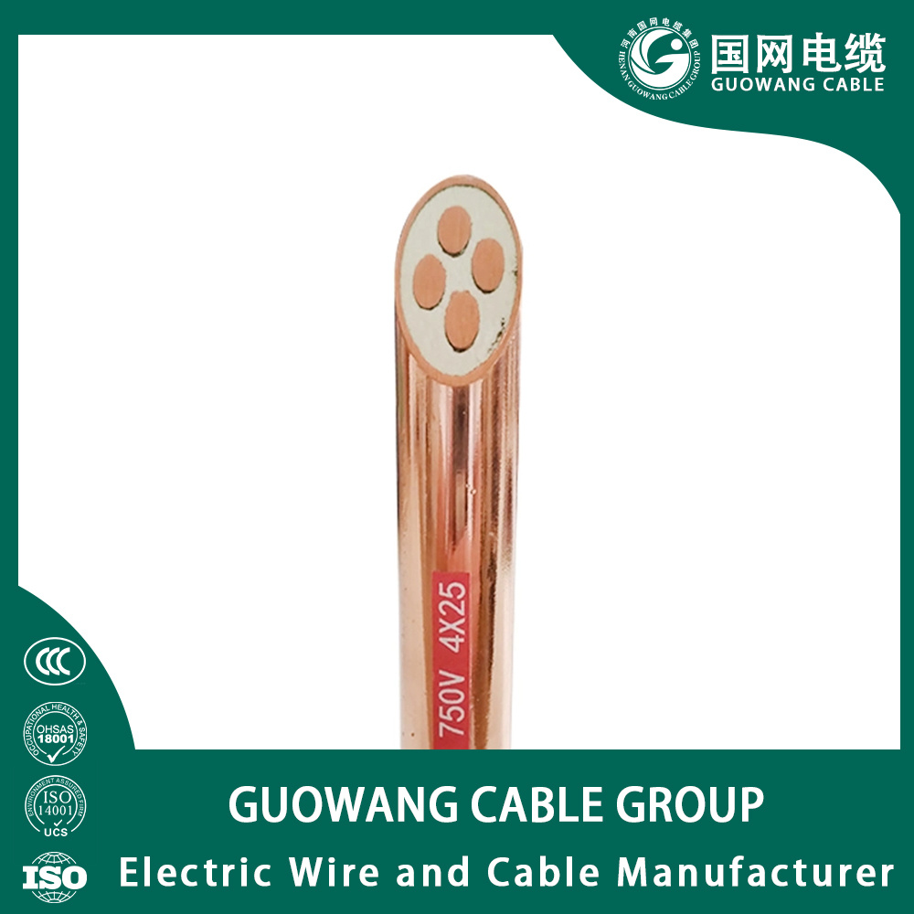 Copper Conductor Sheath Mineral Insulated Cable Waterproof Fireproof Explosion Proof Cable Bttrz Btly XLPE Power Cable Flexiblecable