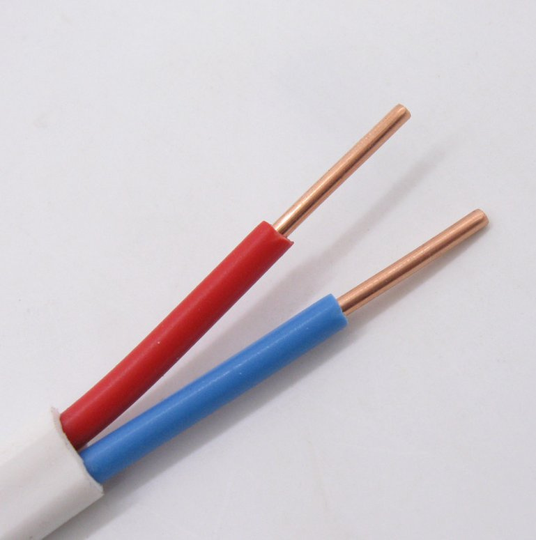 ISO9001 Approved Round Wire Guowang China 3X2.5 TPS Flat Cable with Good Price