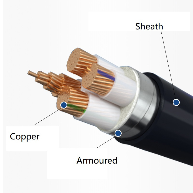 Low Voltage Two Cores 4mm2 10mm2 16mm2 PVC Insulated and Jacket Copper VV Energy Industry Cable