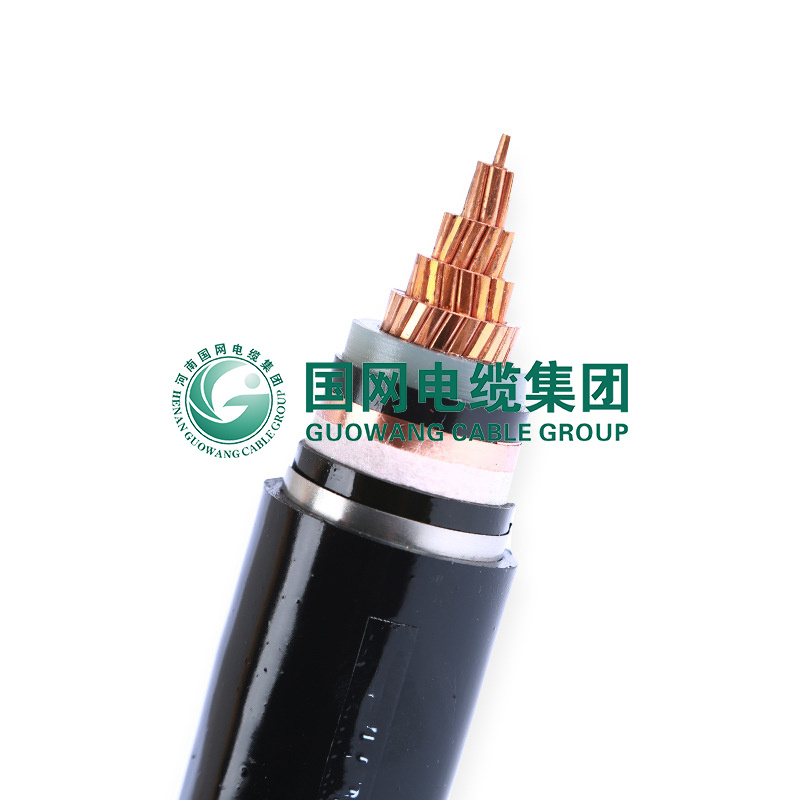 Mv Wdz-Yjy63/Yjy63/Wdz-Yjy23/Yjy23 Sta Copper Core XLPE Insulated Steel Wire Armored PE Sheathed Power Cable