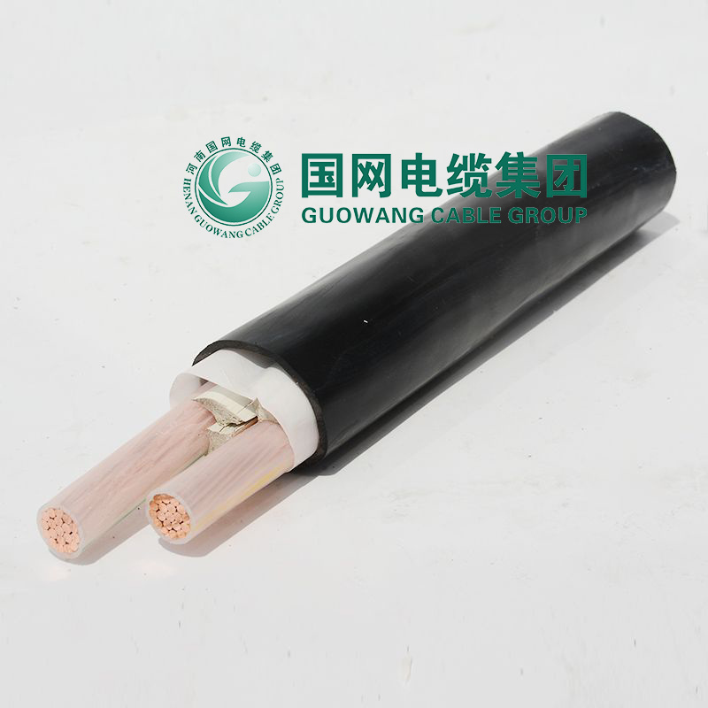 N2xy/N2xcy/Yjv 0.6/1kv LV 2*1.5- 2*300mm2 Construction Industrial LSZH XLPE Insulated PVC Sheathed Copper Conductor Fire Resistant Electric Power Cable