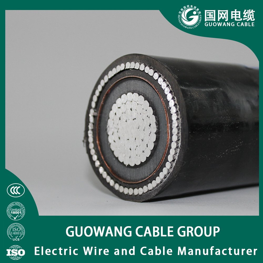 Non-Magnetic Wire Aluminium Wire Armored Awa Yjlv72 Single Core Mv Aluminum Conductor Armoured XLPE Insulated PVC Sheathed Power Cable