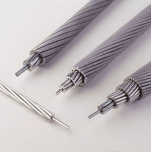 100sqmm Dog BS Standard Aluminum Conductor Steel Reinforeced ACSR Hot Product