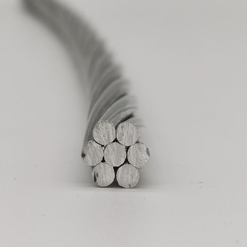 Bare Conductor for Primary and Secondary Distribution AAC/AAAC/ACSR Customized