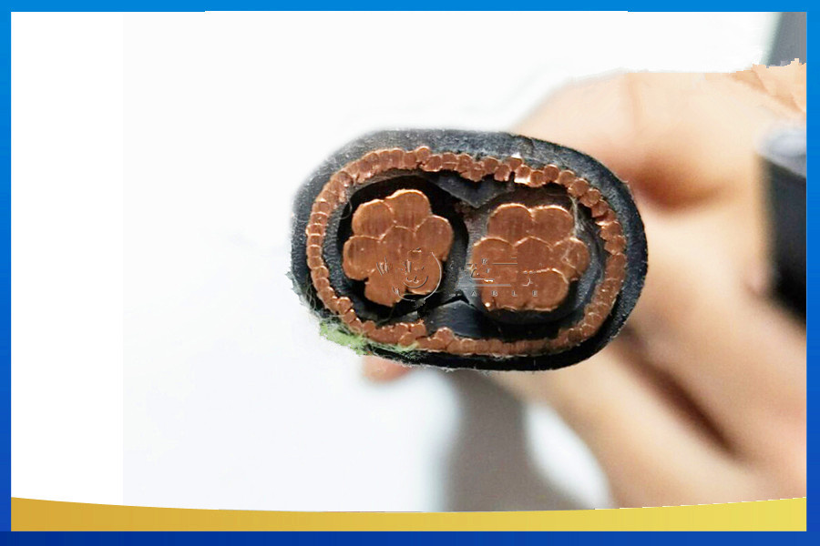 Low Voltage 3*4AWG Copper Conductor XLPE Insulated XLPE Sheath Electric Wire Concentric Cable
