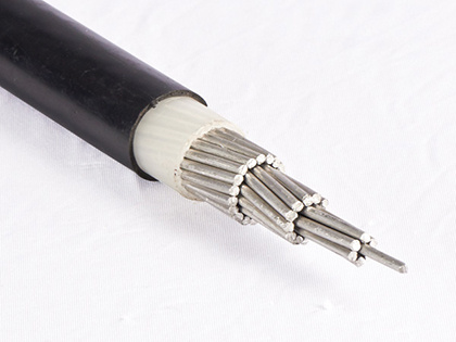 Câble concentrique en aluminium avec isolant XLPE/PVC 2X6AWG