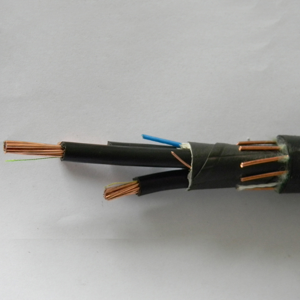 2X8AWG, 2X6AWG, 3X6AWG 1350 and 8030 Aluminum XLPE Insulaton Concentric Cable