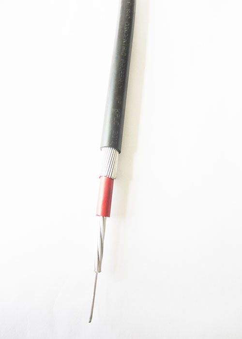 Copper Core 1X10+1X10mm2 Concentric XLPE Power Cable