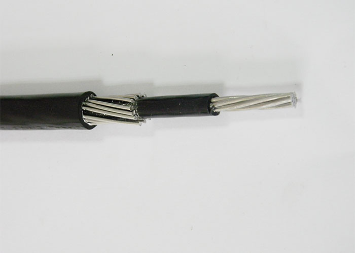 Cu PVC Concentric Surface Cable 0.6kv 1kv Single Core Radio Internet Data Communication Patch Cable for Networking