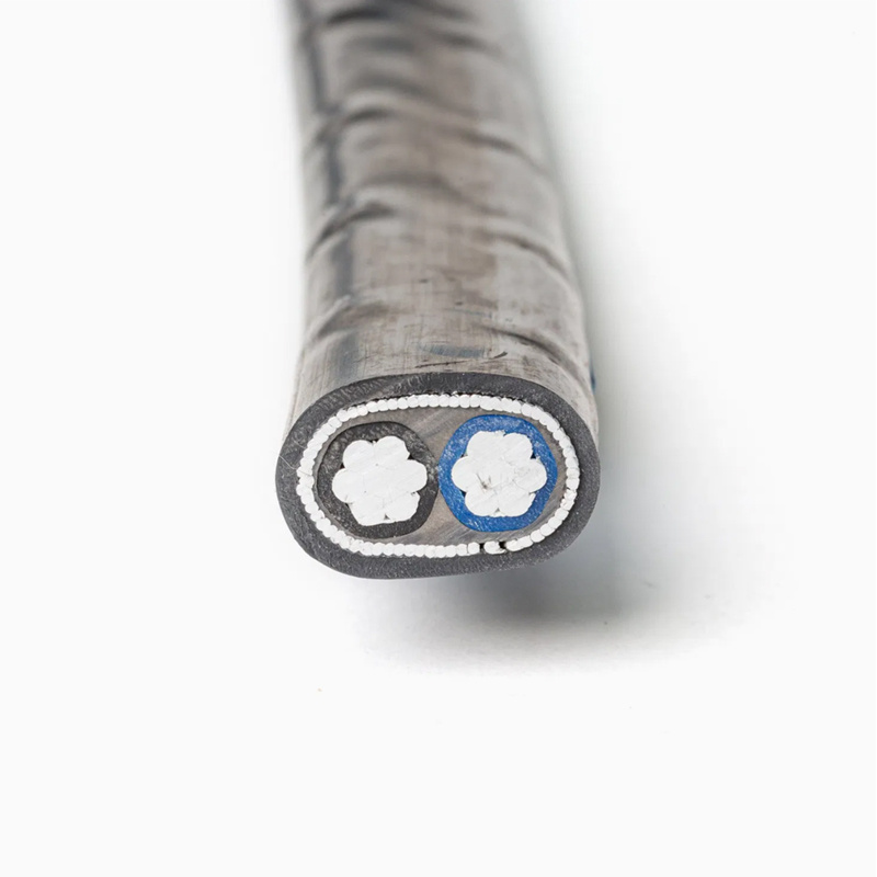 Low Voltage Aerial Concentric Cable Airdac Sne or Cne House Service Cable 4mm 6mm 10mm 16mm2 Cable