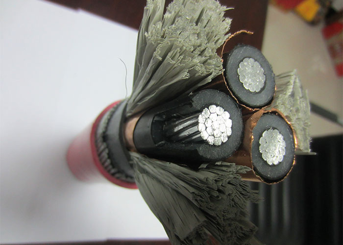 Medium Voltage 3 Core 120mm 250mm 300mm XLPE Insulated Power Cables Prices