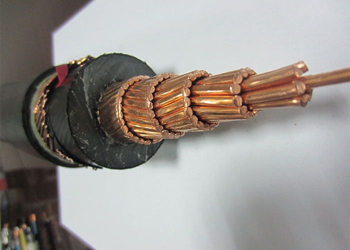 Na2xsy 6/10kv 11kv Medium Voltage Aluminum Power Cable