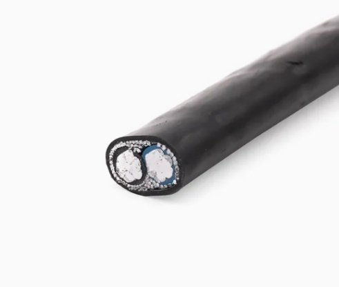 Single Two Core 8000 Series Aluminum Alloy or Copper Conductor Concentric Cable