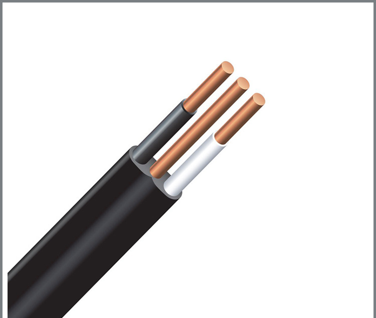 SAA TPS SDI Cable 2.5mm2 Twin with Earth Wire