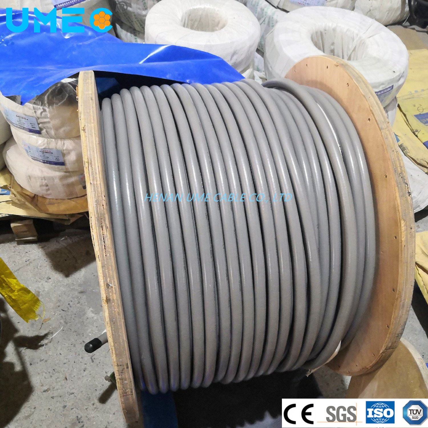 0.6/1 Cable de potencia trenzado de acero galvanizado aislado con XLPE 2X2.5mm2 2X4mm2 4X10mm2 Cable eléctrico