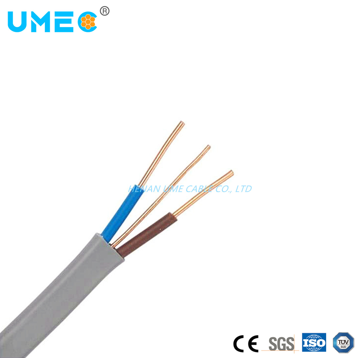 BVVB Blvvb Electric Wire Cable BVVB Two Core Copper Sheath Cord 2*1.5 Sqmm Power Wire Flat 3 4 5 Core 0.75 1 1.5 2sqmm Price