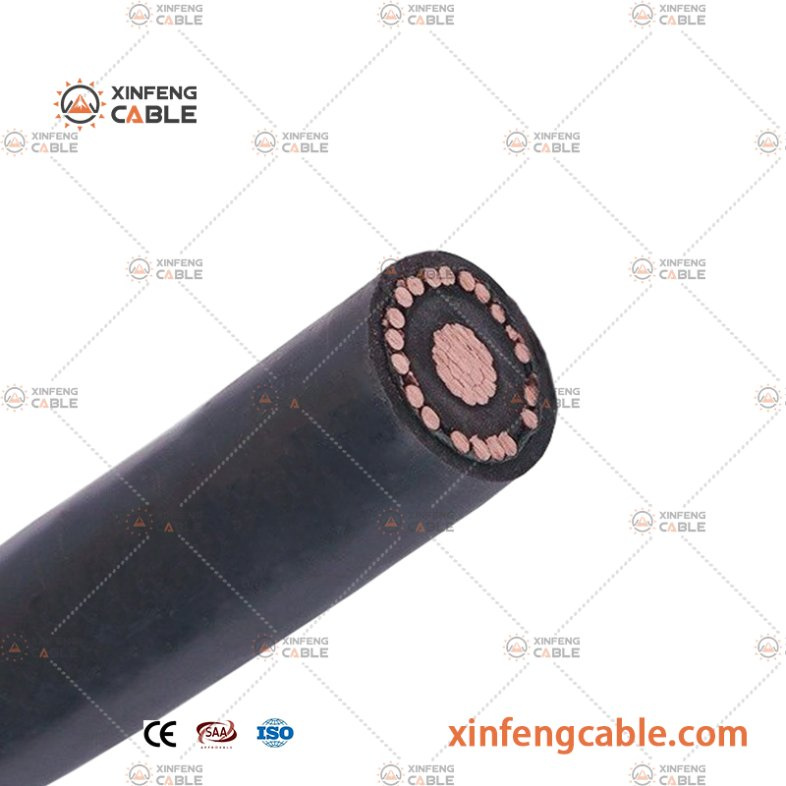 Conducteur en cuivre Isolation PVC Enveloppe PE 0.6/1kv Câble concentrique Cu/PVC/PE 2X6mm2