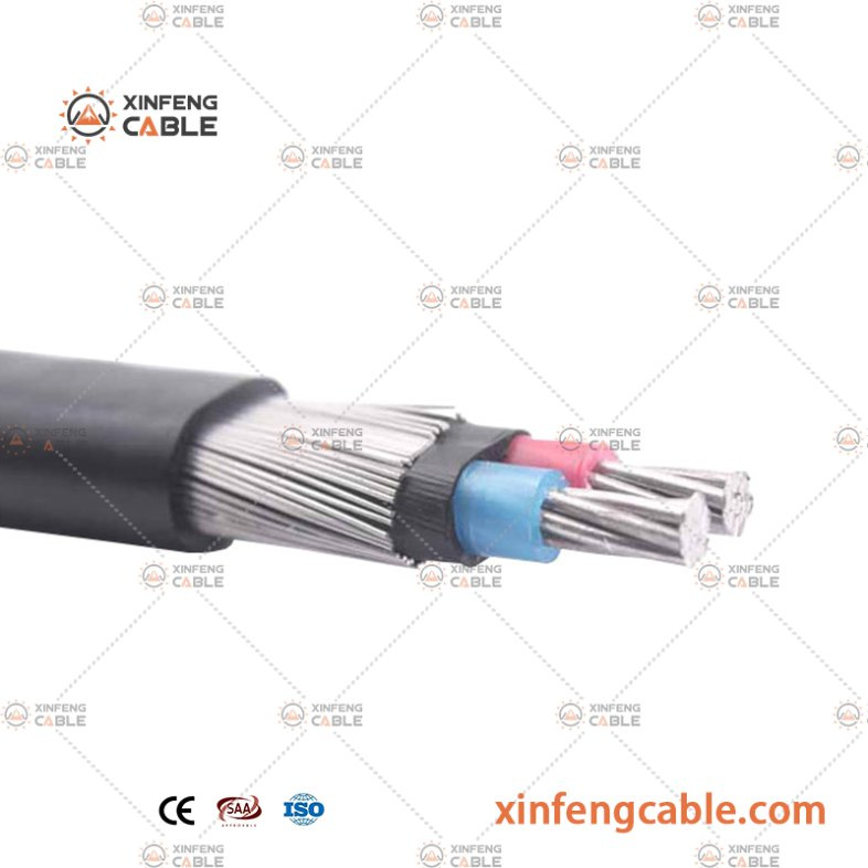 Chine Câble de service concentrique à basse tension Sne Cne 2× 6 mm² avec cœurs de communication fabrication et fournisseur