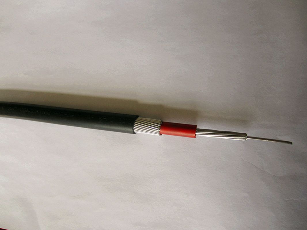 0.6/1kv 8000 Series Aluminum Alloy Conductor Concentric Cable 6AWG 8AWG Concentrico Aluminio Cable 2X6AWG (XLPE-PVC) 0.6/1 Kv