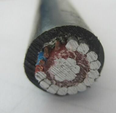 0.6/1kv Концентрический кабель CNC 2X16mm2 Воздушный концентрический сервисный кабель с изоляцией XLPE 2X8 Концентрический кабель AWG