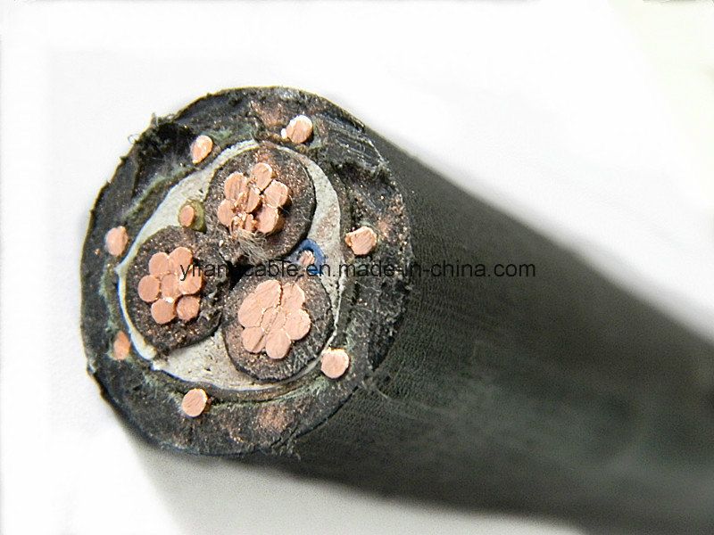 10mm2 16mm2 Norme BS 2 Cœurs 3 Cœurs 4 Cœurs Câble concentrique en aluminium Cooper