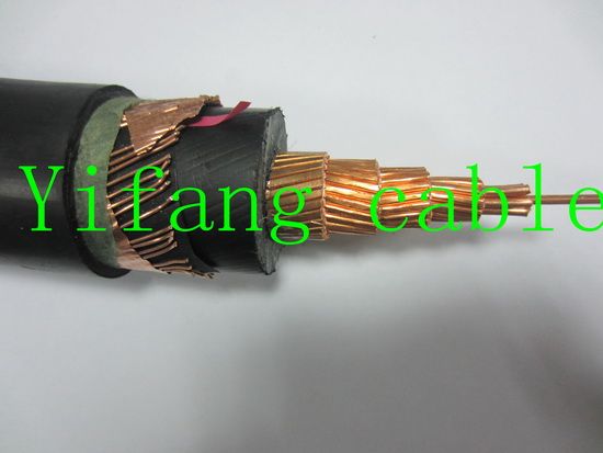 Chine 12/20kv (24KV) Câble D′ALIMENTATION EN POLYÉTHYLÈNE RÉTICULÉ N2xsy/Na2xsy Na2xs (F) 2Y Câble2/5002/400300mm mm mm2 fabrication et fournisseur