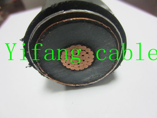 25kv 750mcm XLPE Insulated Armoured Copper Power Cable Icea S-93-639/NEMA Wc 74 Standard 