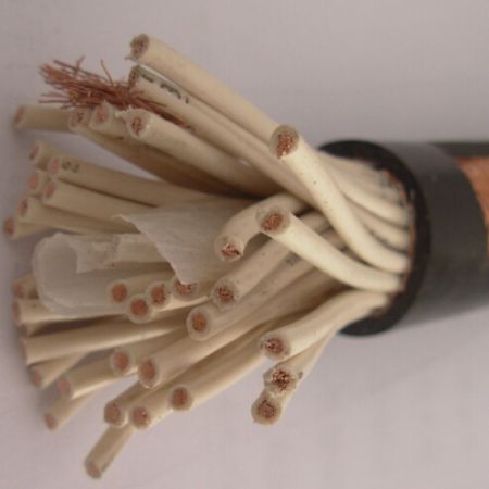 6 8 10 12 16 18 20 Core Control Cable 450/750V Copper PVC Insulated PVC Sheathed Control Cable