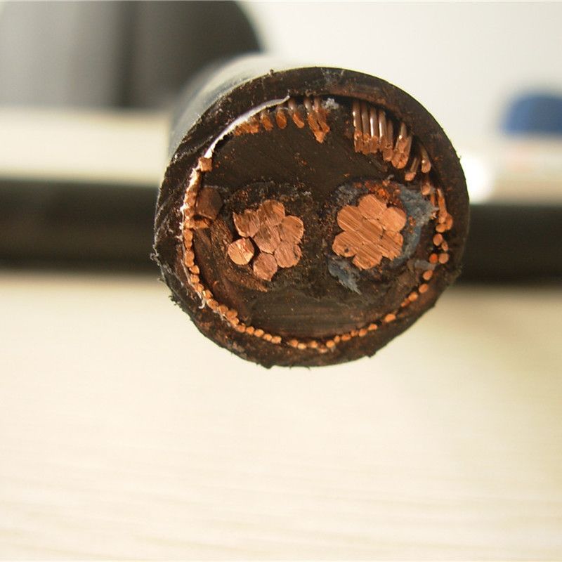 600/1000V Copper Core Round 2 Core Copper Wire Armoured Concentric Power Cable