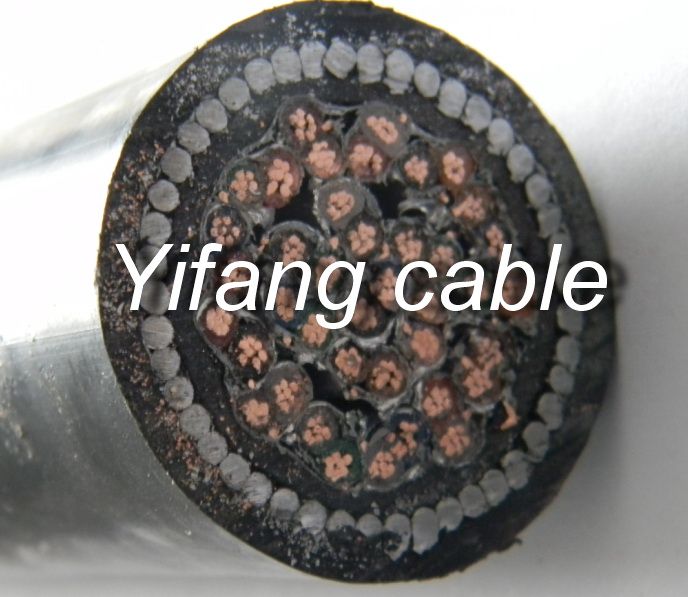 Chine 600/1000V Câble d′instrumentation à isolation XLPE résistant aux flammes et anti-termites fabrication et fournisseur