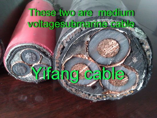 8.7/15 Kv Copper Conductor XLPE Insulated Armored PVC Sheathed Power Cable 3X185mm2