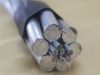Aluminum Conductor Steel Reinforced (ACSR) All Aluminum Conductor ACSR Dog Conductor Price List