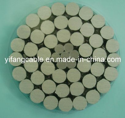 Aluminum Conductor Steel Reinforced/ACSR