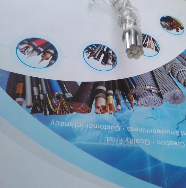 Conductores De Aleacion De Aluminio AAAC Allience ASTM B398, 399
