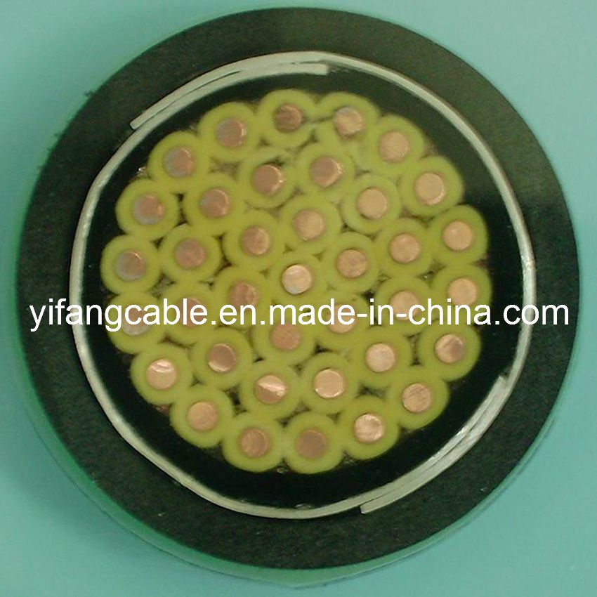 Control Cable (KVV22)
