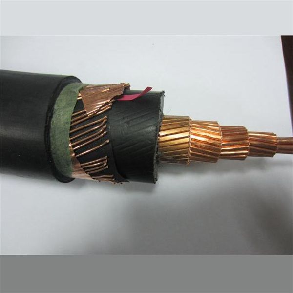 Chine Câble d′alimentation avec gaine armée en XLPE/PVC/PE retardateur de flamme N2xy N2X2y N2xsy N2xs2y Na2xy Na2X2y Na2xsy Mv Cu/Al fabrication et fournisseur