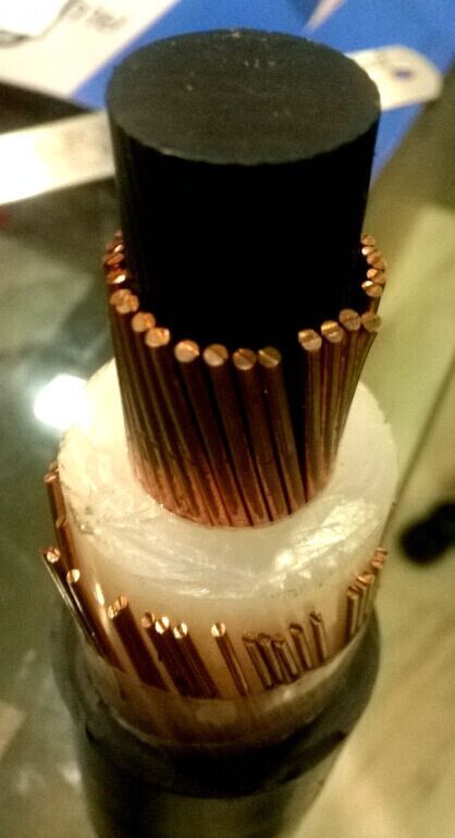 High Voltage XLPE Insulation Material Black PVC Outer Sheathed Shield Hvsc Electrical Cable with Down Conductor 50mm2 for Lightning Protection
