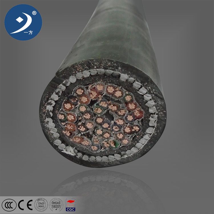 Instrument Cable 1 Pairs 12 Pairs