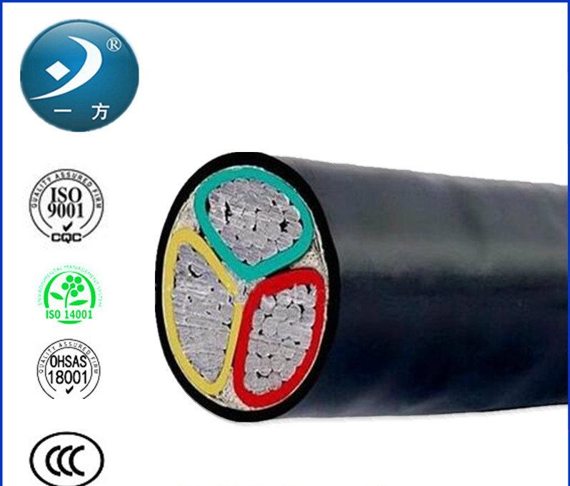 Câble électrique basse tension avec isolation en PVC/XLPE