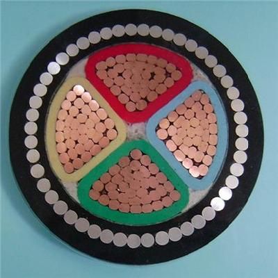 Chine Câble d′alimentation blindé en cuivre toronné à basse tension avec isolation PVC/XLPE 95mm2 fabrication et fournisseur