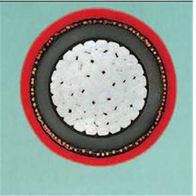Medium Voltage Aluminium Power Cables Na2xsy