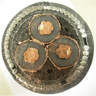 N2xsy Cable 6/10kv 12/20kv 18/30kv Cu/XLPE/Cws/Cts/PVC Cable Industrial Cable