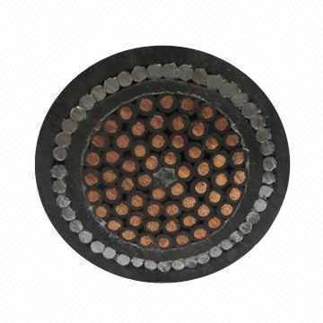 PVC /XLPE Control Cable (Nyy)